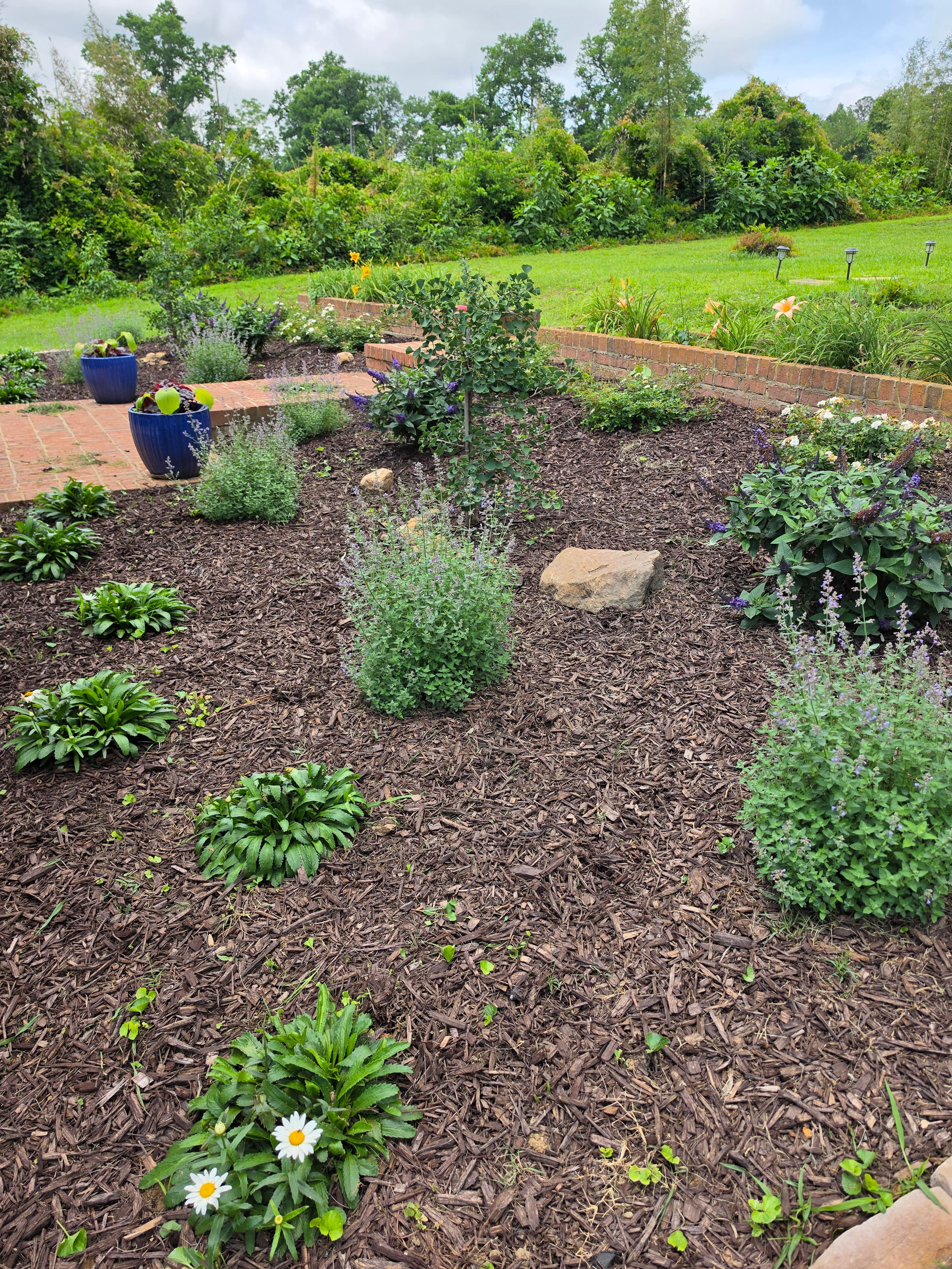 Lush garden bed with dark mulch, various green plants, purple flowers, and blue ceramic pots.