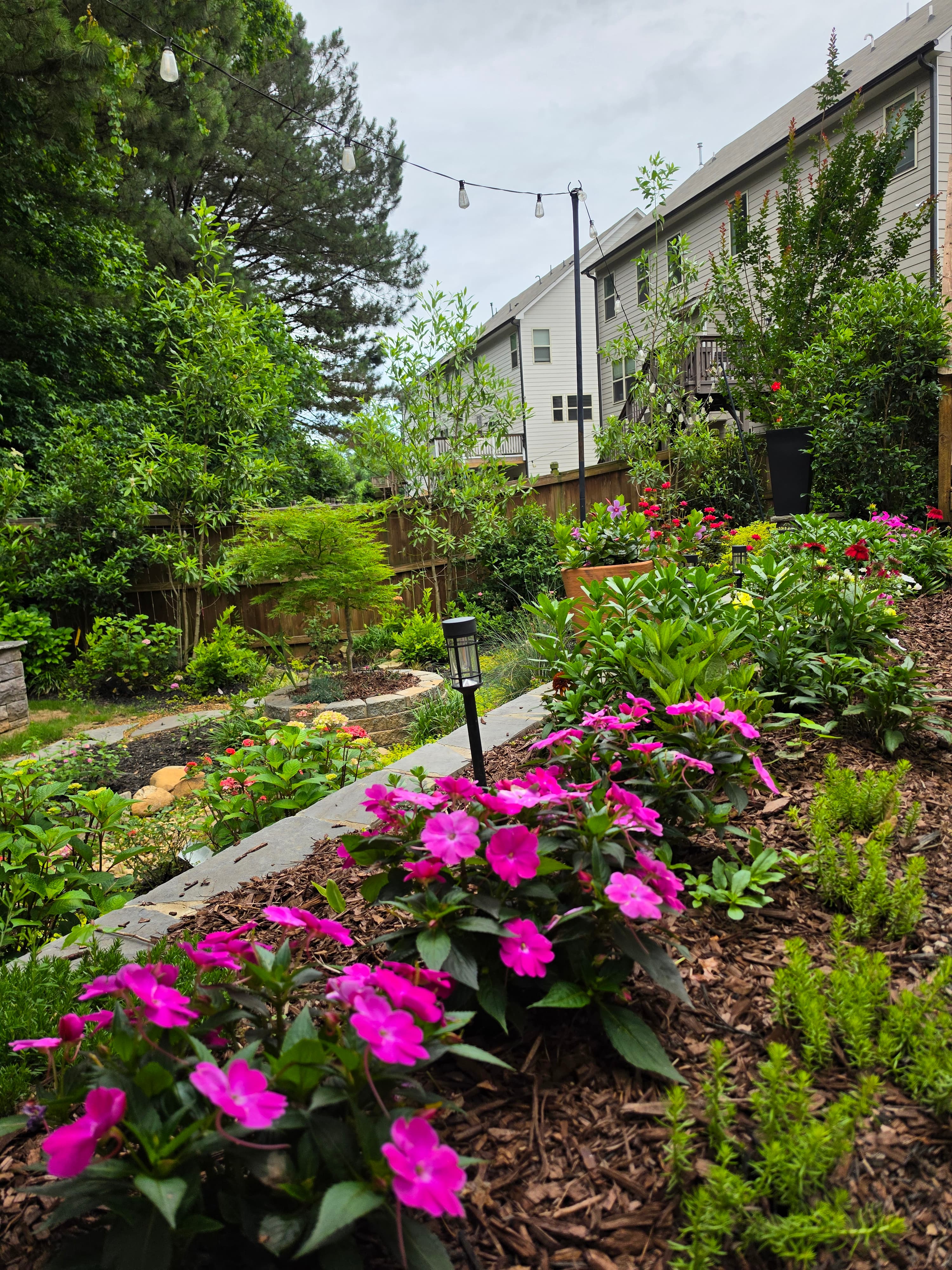 Vibrant pink flowers in a mulched garden bed with stone paths and townhouses behind.