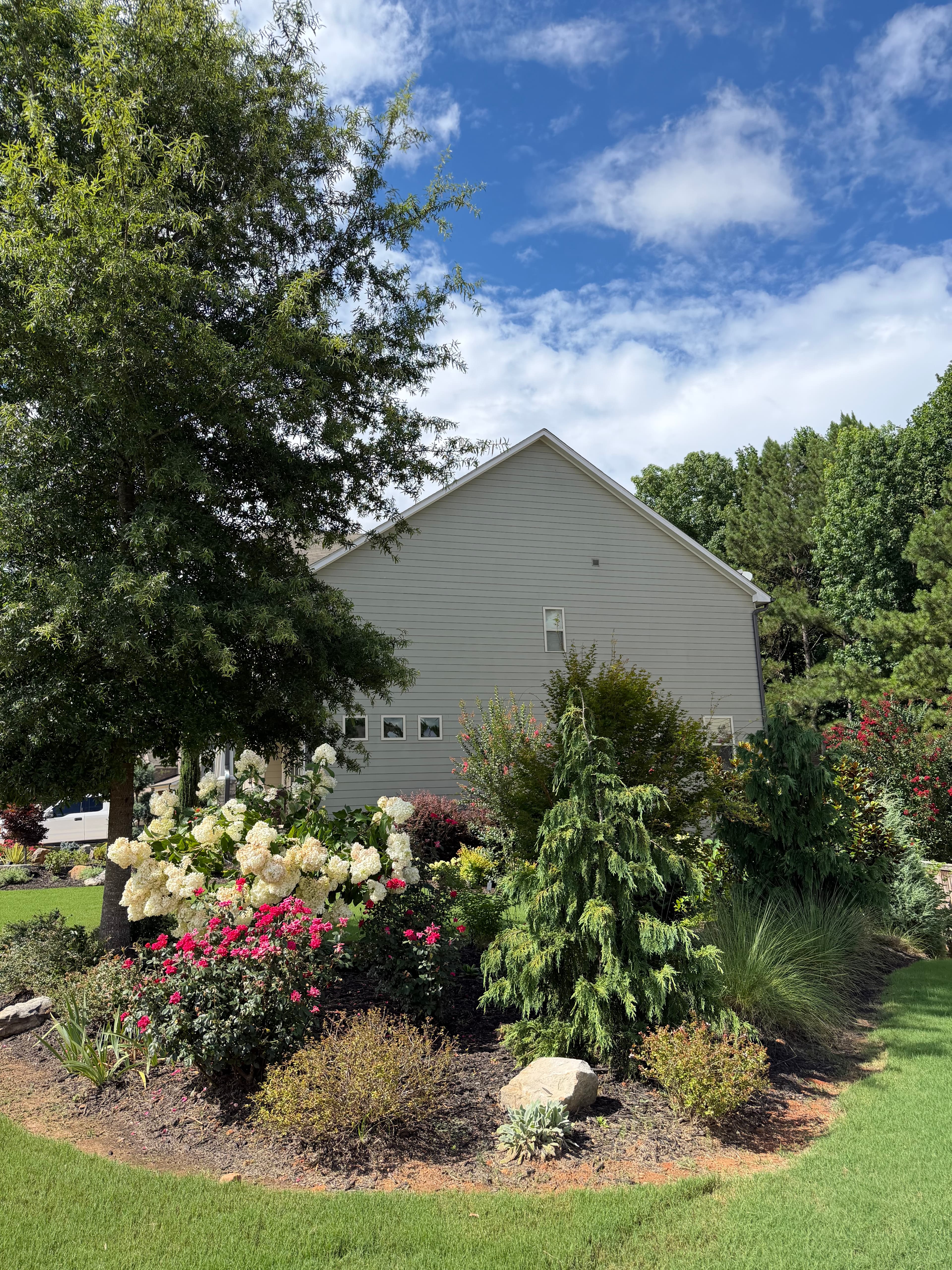 Vibrant garden with white hydrangeas and pink roses bordering a light gray suburban house.