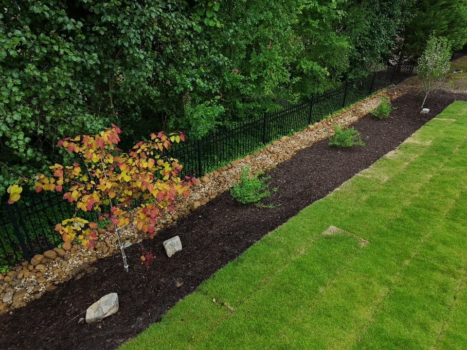 Mulched garden bed with a yellow-leaved tree along a black fence and green lawn.